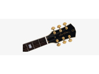 Sire Larry Carlton H7T Black Sire Larry Carlton H7T Black